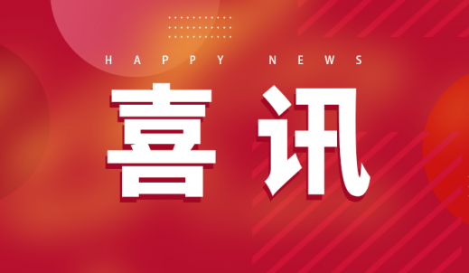 雙環傳動榮獲采埃孚集團2025年度VAVE大獎